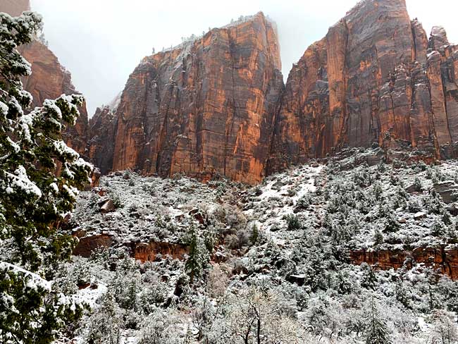 Zion National Park